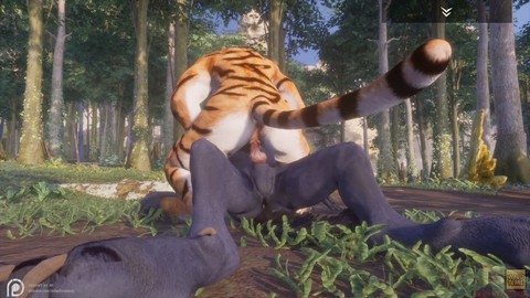 Furry wolf, furry tiger, yiff
